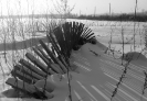 Природа-10