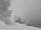 Природа-14