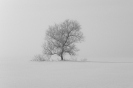 Природа-7