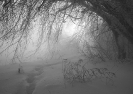 Природа-55