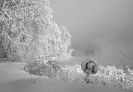 Природа-65