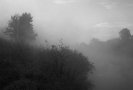 Природа-77