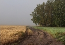 Природа-84