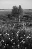 Природа-85