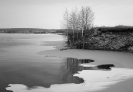 Природа-104