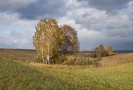 Природа-92
