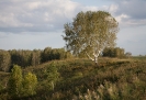 Альбом-6