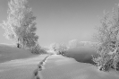 Природа-144
