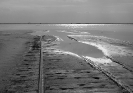 Природа-150