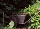 Фото_5