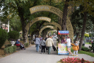 КМВ-2024_6